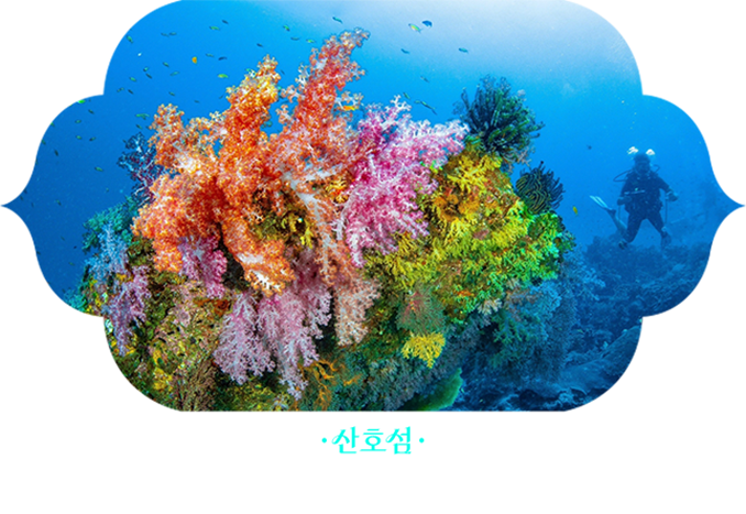 산호섬