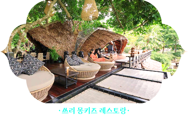 쓰리몽키스레스토랑