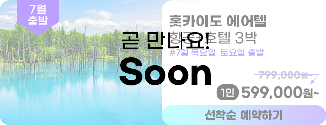 훗카이도 에어텔