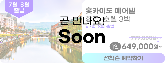 훗카이도 에어텔